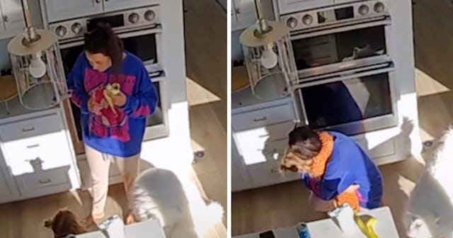 A mom got the sweetest response from her 3-year-old daughter when trying to explain why she was adop...