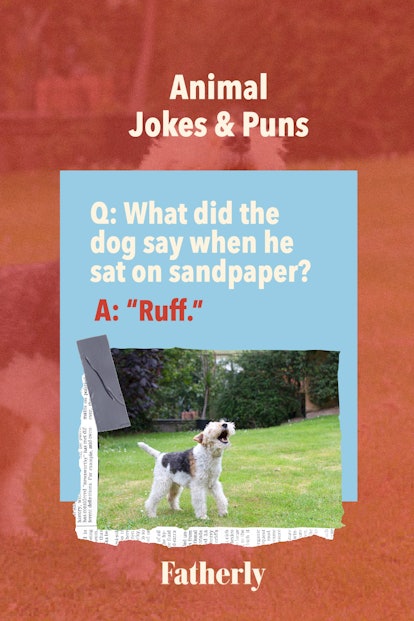 dog jokes dirty