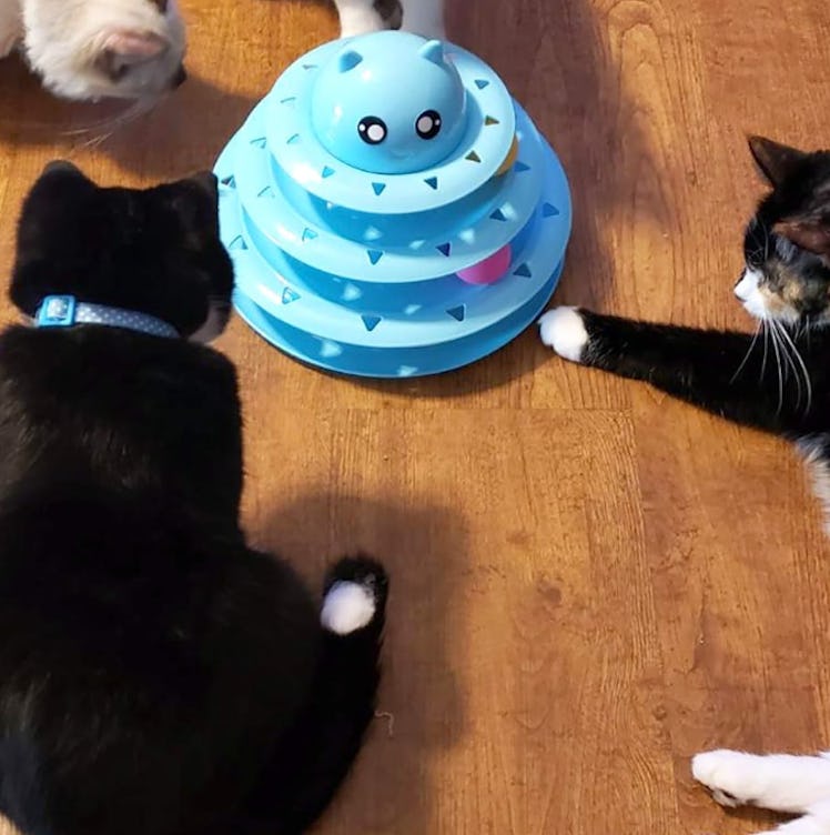 UPSKY Cat Toy Roller 3-Level Turntable