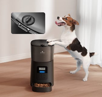 PETLIBRO Automatic Pet Feeder