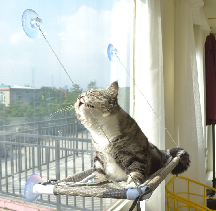 PEFUNNY Cat Bed Window