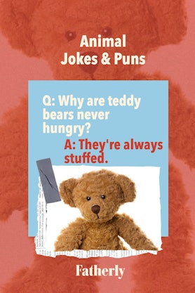 Animal Jokes&Puns: Why are teddy bears never hungry? 