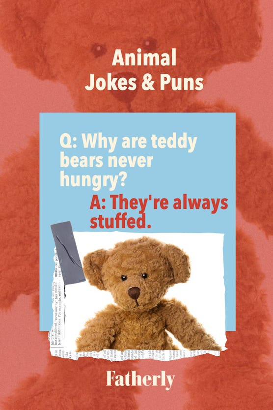 Animal Jokes&Puns: Why are teddy bears never hungry? 