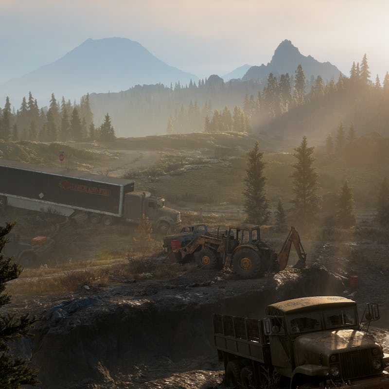 Days Gone