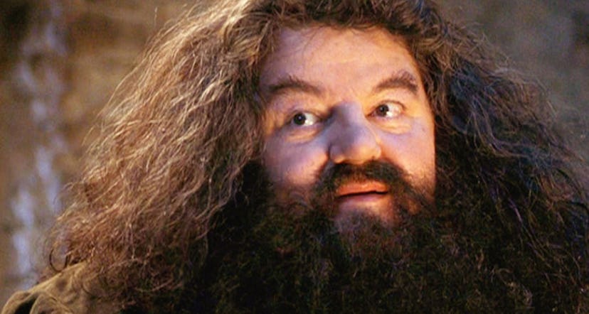 Robbie Coltrane as Hagrid.