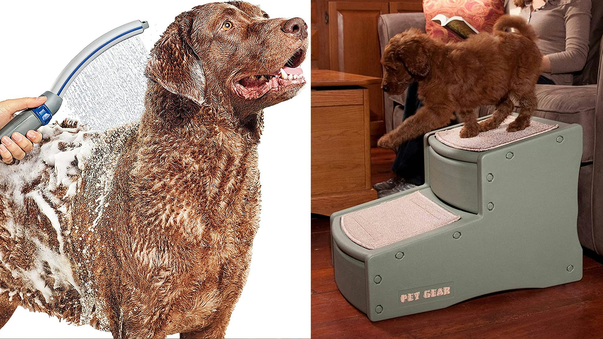 A dog being washed with a shampoo and the same dog playing on a step closet