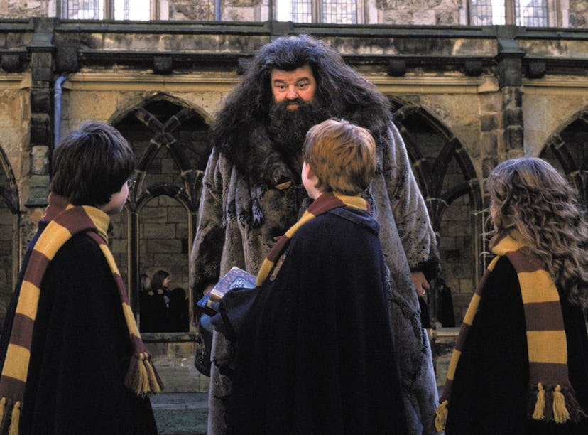 'Harry Potter' stars posted tributes to Robbie Coltrane after his death.