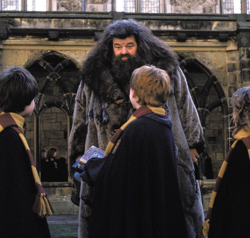 'Harry Potter' stars posted tributes to Robbie Coltrane after his death.
