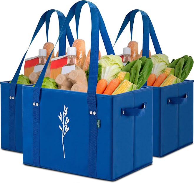 Green Bulldog Bags Reusable Grocery Bags (3-Pack)
