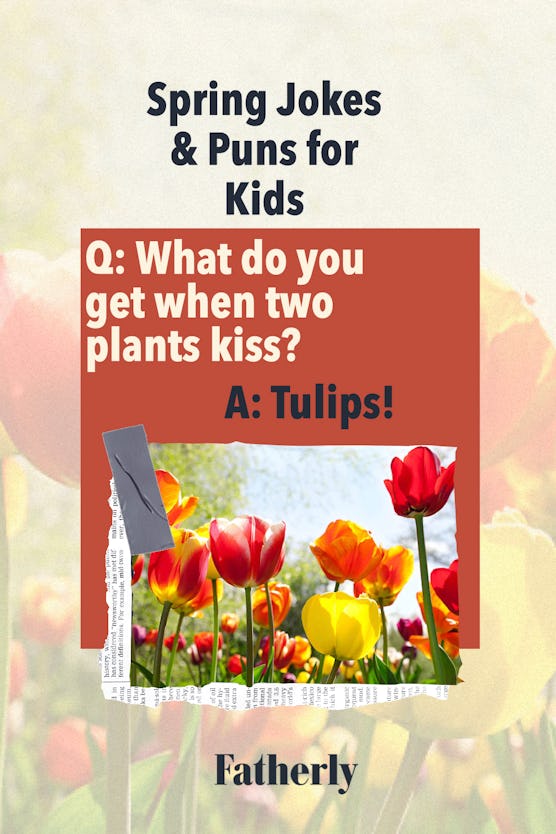 Spring Jokes & Puns:  What do you get when two plants kiss?