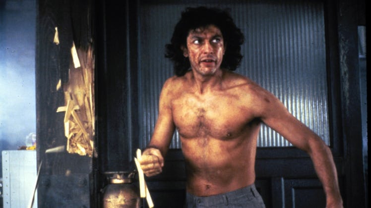 Jeff Goldblum in David Cronenberg's The Fly