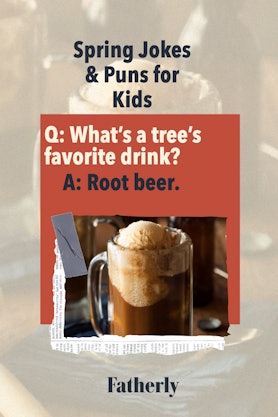 Spring Jokes & Puns: What's a tree's favorite drink?