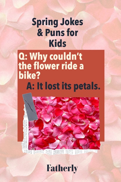 Spring Jokes & Puns: Why couldn't the flowers ride a bike?