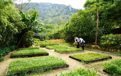 The Finest Cooking Courses Round The World To Guide For Your Subsequent Trip The Finest Cooking Courses Round The World To Guide For Your Subsequent Trip