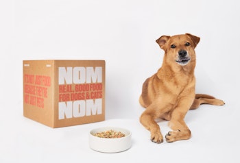 Nom Nom Real Food For Dogs