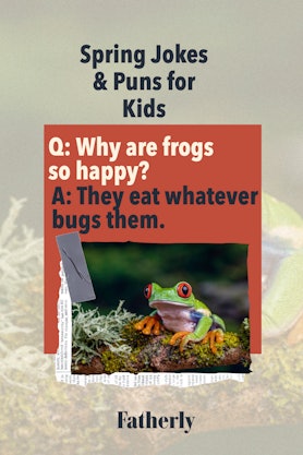 Spring Jokes & Puns: Why are frogs so happy?