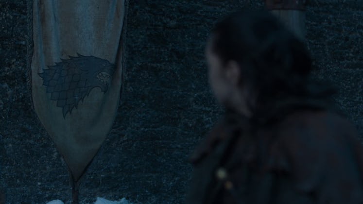 Arya Stark looks at a Stark banner hanging in Winterfell in Game of Thrones Season 7