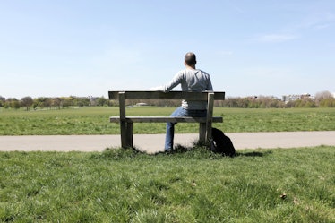 Middle aged man sitting alone on a park bench facing away from camera