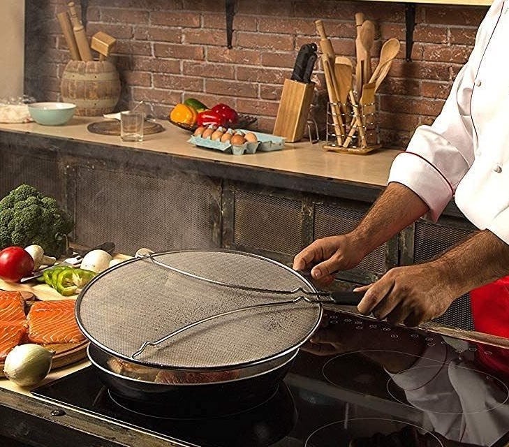 BergKoch Splatter Screen