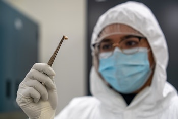 Researcher wearing mask and covered in protective gear holds up piece of tooth between a pair of twe...