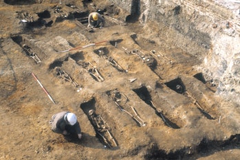 Rows of unearthed graves exposing skeletons inside