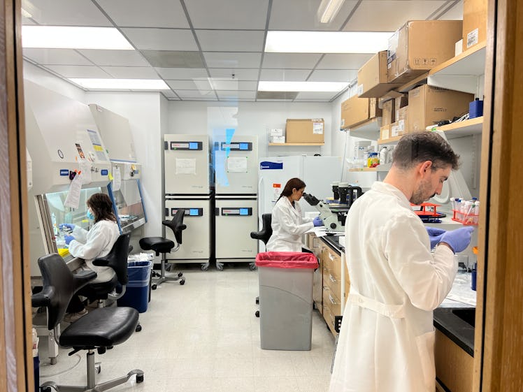 Individuals in white coats working in a lab