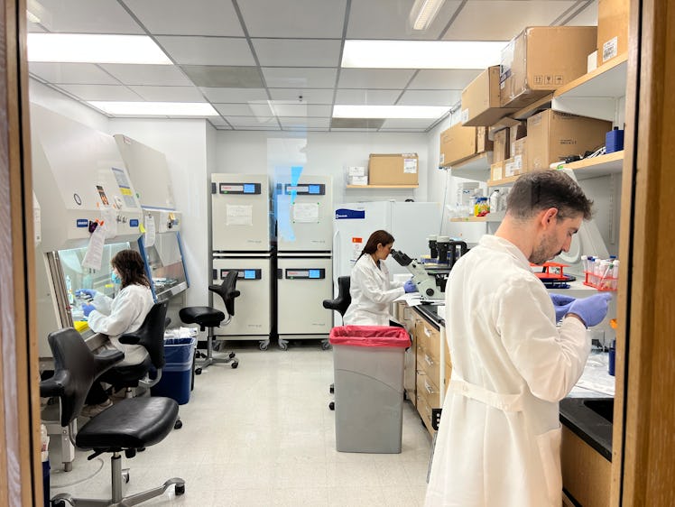 Individuals in white coats working in a lab