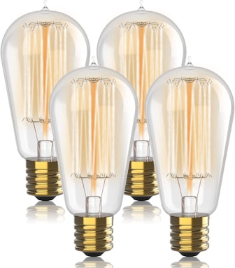 Hudson Bulb Co. Vintage Light Bulbs (4 Pack)