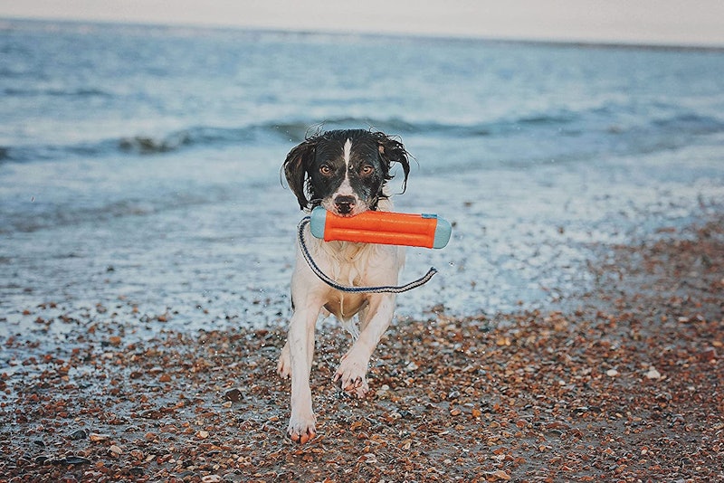 The best dog toys for water include the orange bumper-style toy featured in this photo. A black and ...