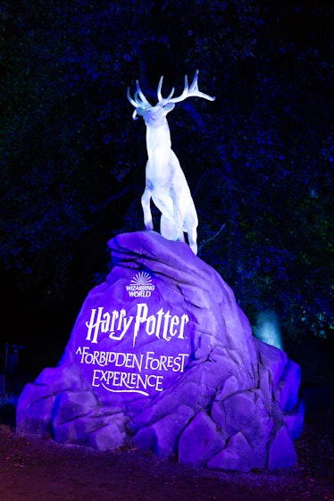 The stag at 'Harry Potter': A Forbidden Forest Experience in Westchester County, New York.