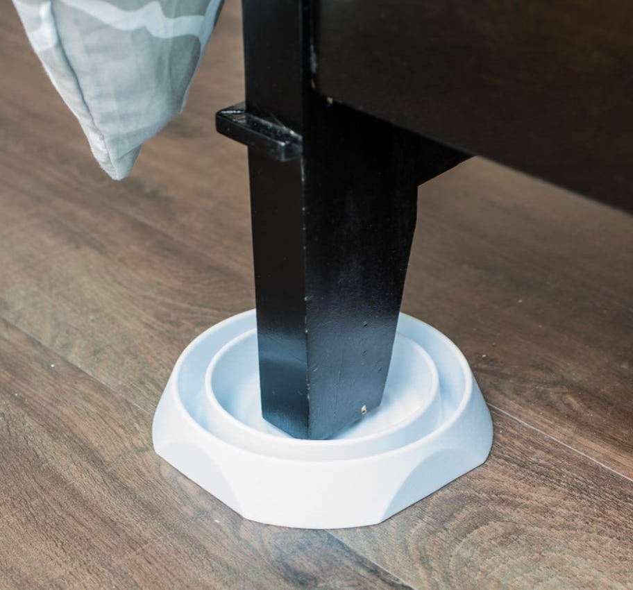 Eco Pest Bedbug Interceptors (8-Pack)