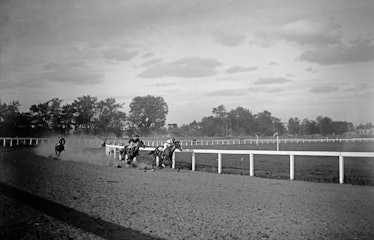 Drug testing was pioneered in horse racing in the 1930s.