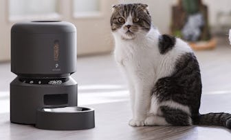 PETLIBRO Automatic Cat Feeder