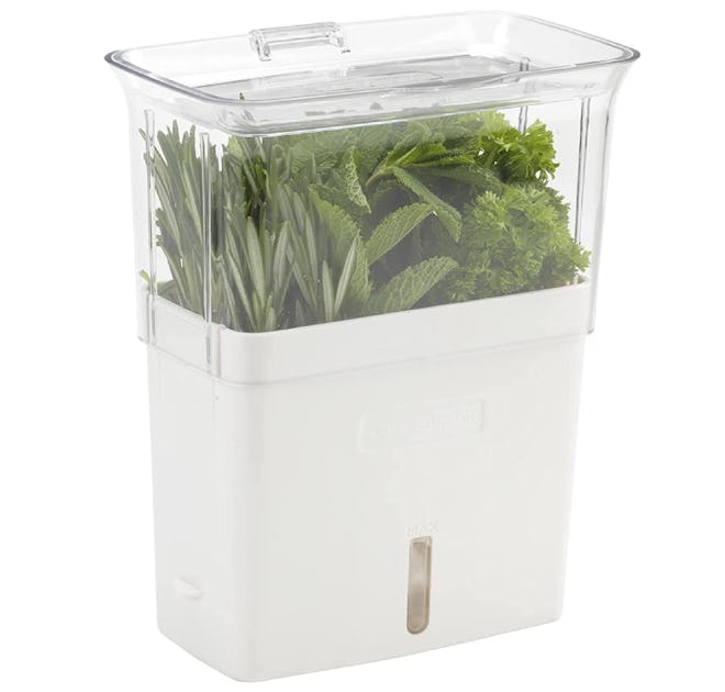 COLE & MASON Fresh Herb Keeper