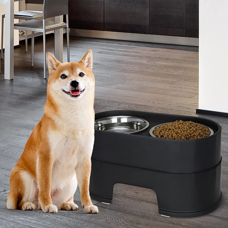 MASOCAT Raised Stainless Steel Pet Bowls,