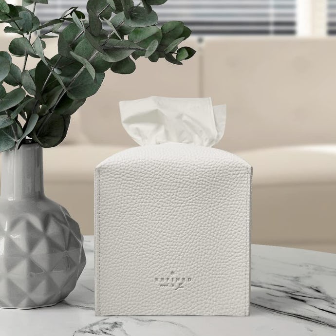 Carrotez Tissue Box Cover