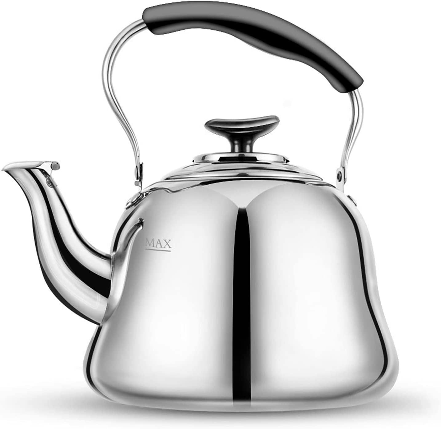 AMFOCUS Stainless Steel Tea Kettle