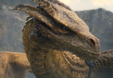 Closeup of Syrax on House of the Dragon.