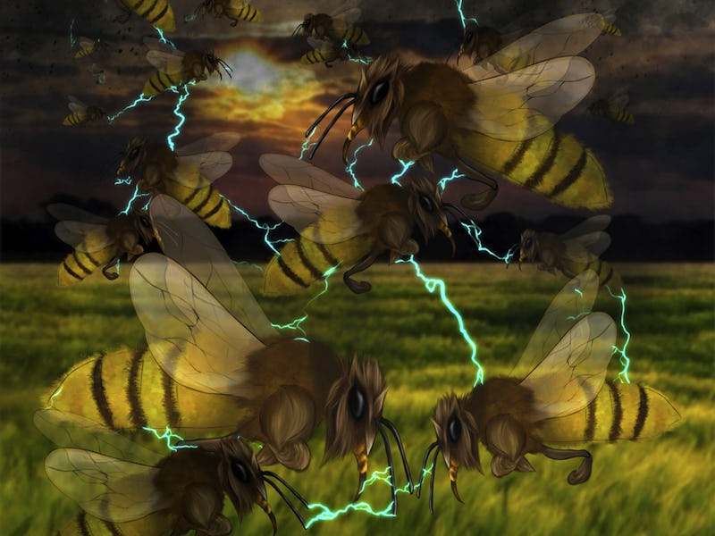 Graphical abstract/image of bees and electrical charge from the study