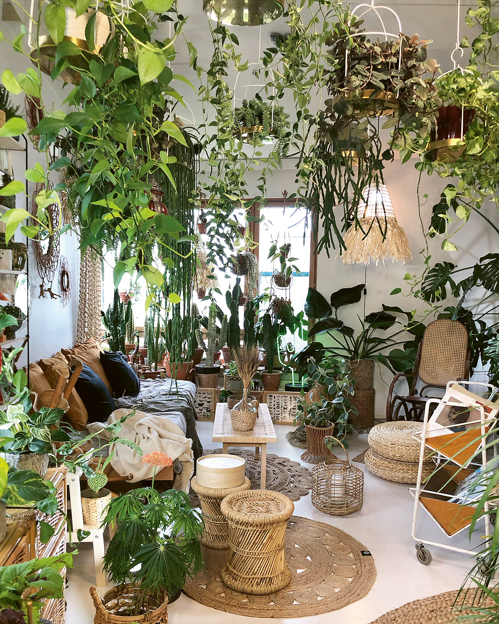 Unique Indoor Potted Plant Arrangement Ideas For 2022