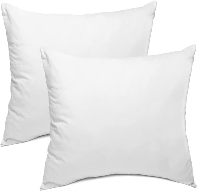 Sleep Restoration Pillow Inserts (Set of 2)
