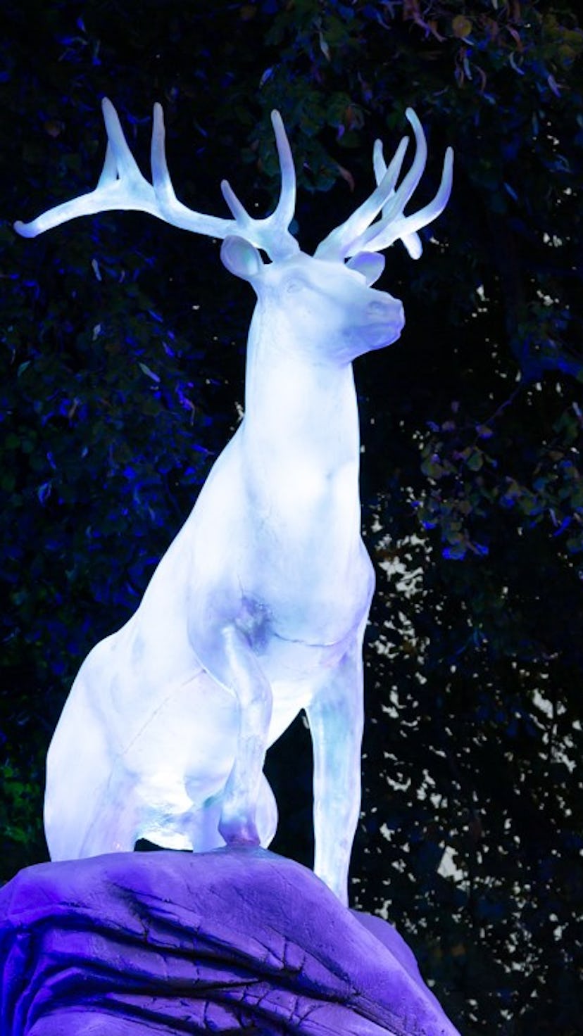 'Harry Potter': A Forbidden Forest Experience promo image of a stag patronus.