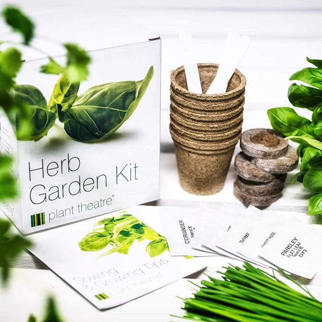 Plant Theatre Indoor Herb Garden Kit - Grow 6 Varieties