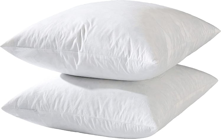 basic home Throw Pillow Inserts (2-Pack)
