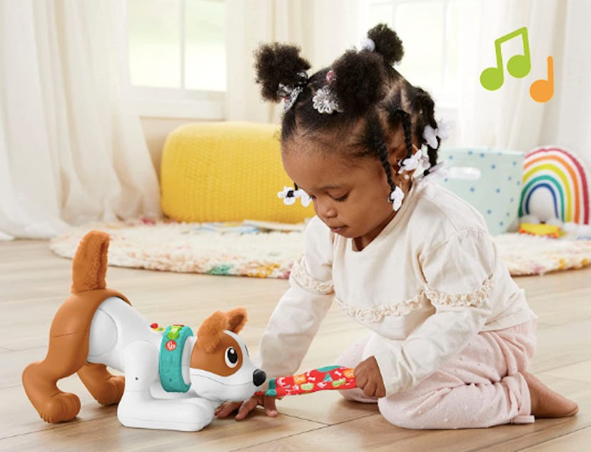 Fisher-Price 123 Crawl With Me Puppy