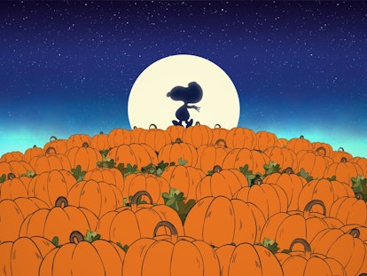 Snoopy in 'It's the Great Pumpkin, Charlie Brown.'
