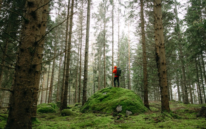 Man standing alone between the trees in the forest.