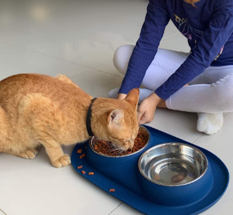 Bonza Pet Bowls with Spill-Proof Mat