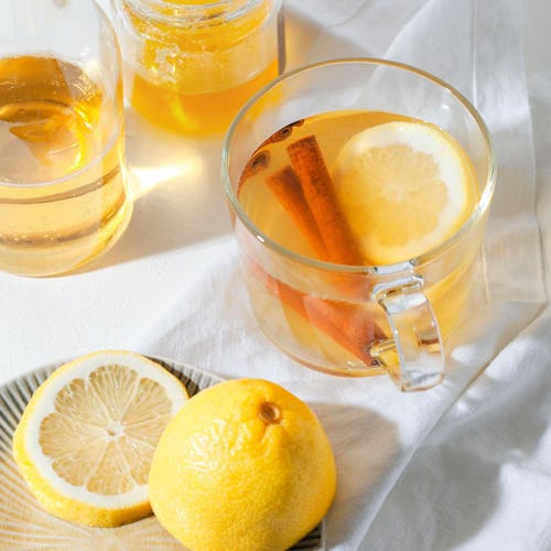 Cup of Hot Toddy Cocktail garnished with lemon slice and cinnamon sticks