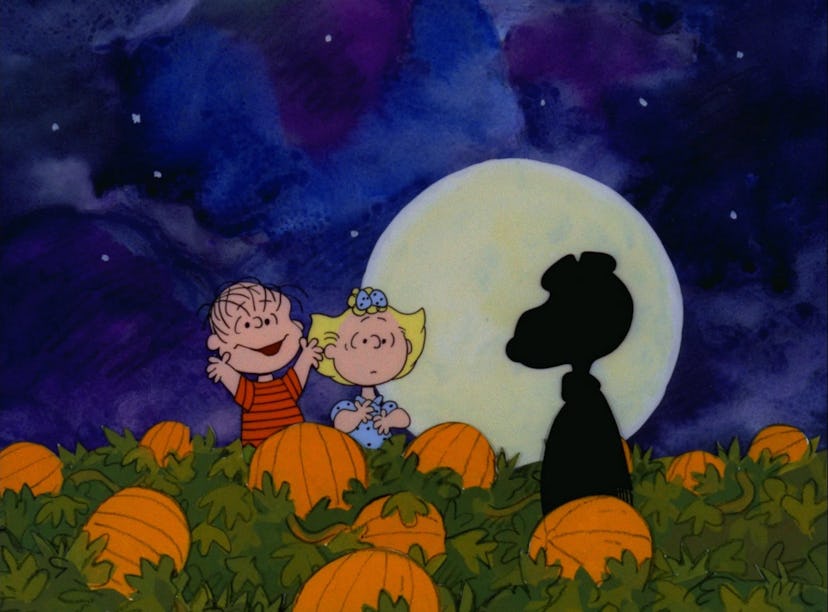 Linus in It’s The Great Pumpkin, Charlie Brown